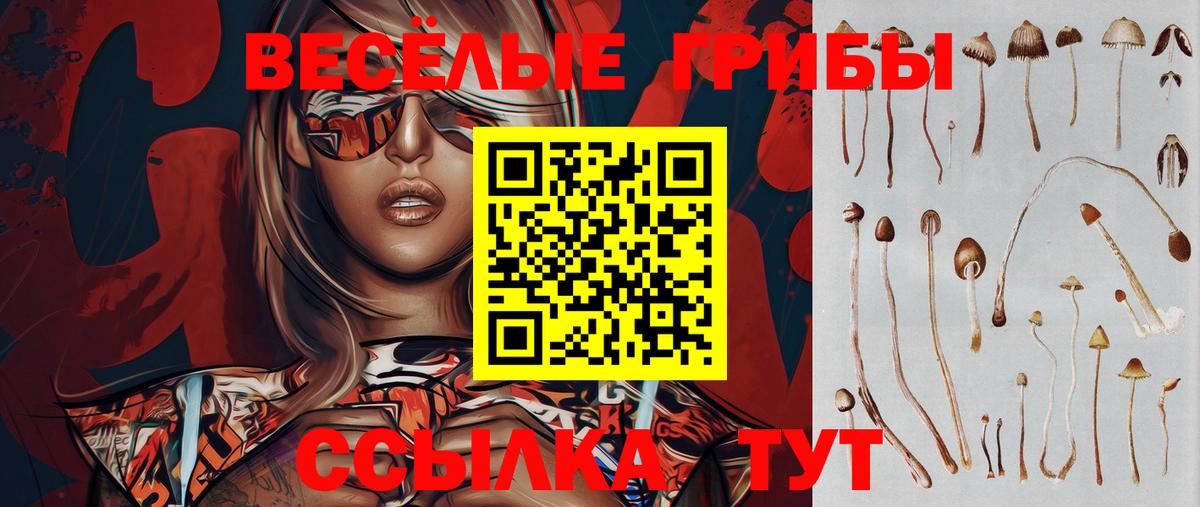 Галлюциногенные грибы Cubensis  Вход с VPN  Южноуральск 